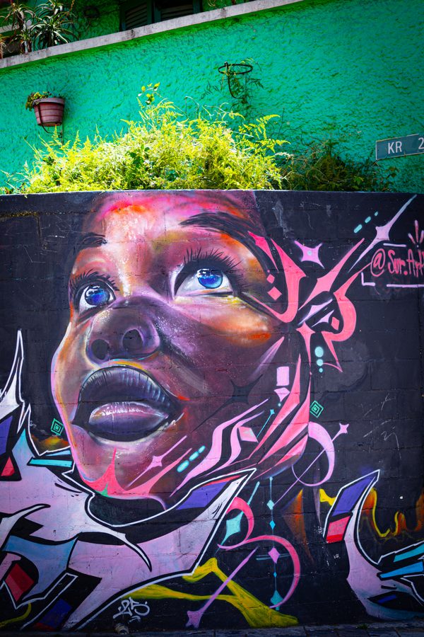 Fresque de street art à Bogotá : jeune visage aux yeux bleus levés vers le ciel, tons violets et roses, sous un mur vert couvert de plantes