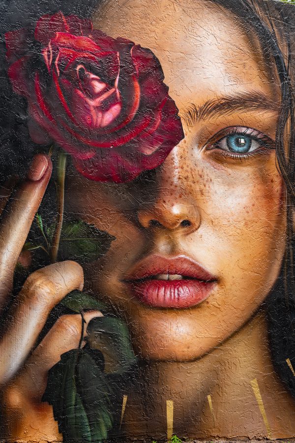 The Veiled Rose : fresque de street art à Miami, portrait de femme aux yeux bleus et taches de rousseur, une rose rouge devant le visage